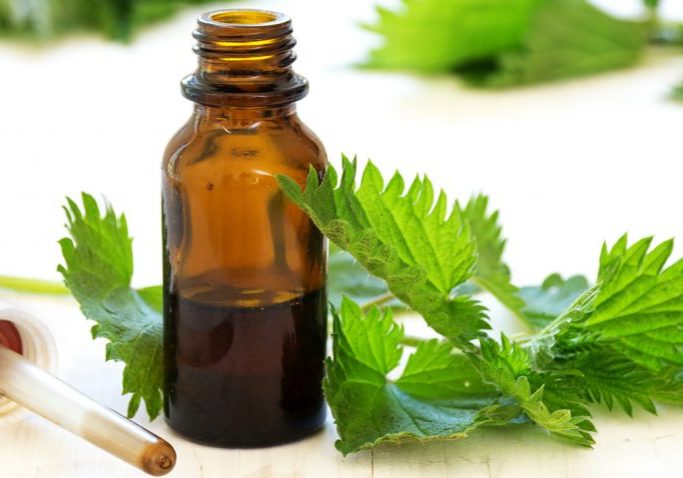 Herbal+tincture+on+table+around+herbs