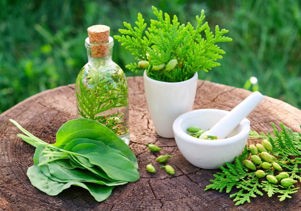 herbal-medicines-ss-18-scaled